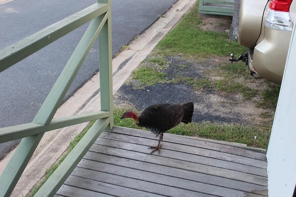 Holiday park Central Tourist Park Mackay